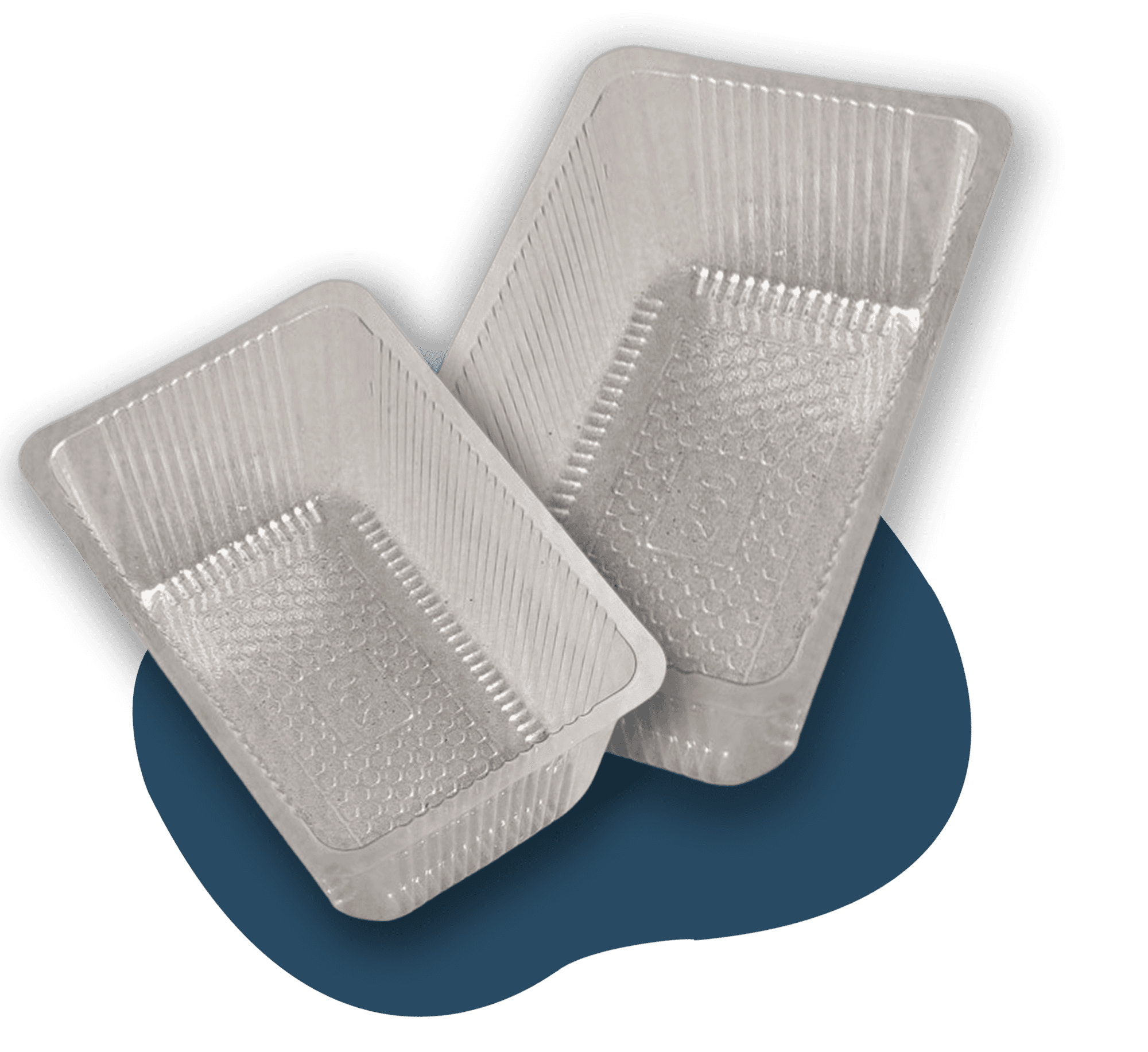 Blister Packaging Manufacturer